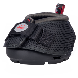 Cavallo Trek regular